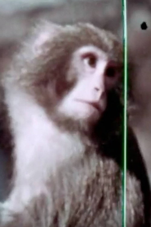 Mr. Moto Takes A Walk Poster