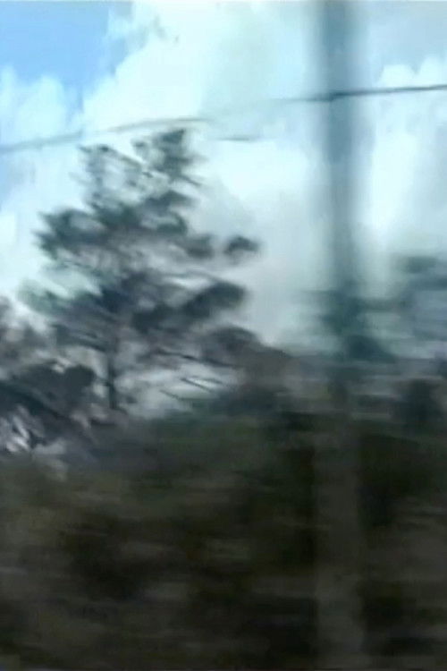 Through the Window Poster