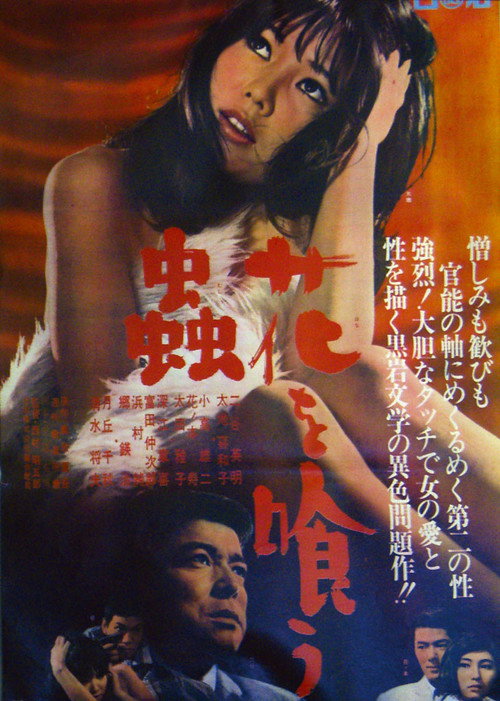 Burning Nature Poster