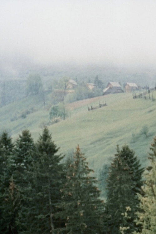 I See You, Bukovina Poster