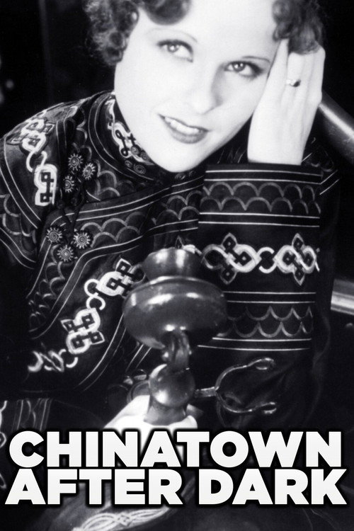 Chinatown After Dark Poster