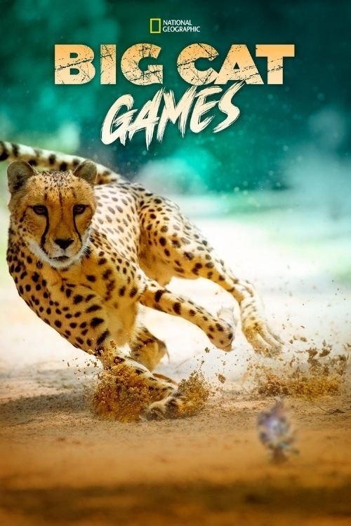 Big Cat Games Poster