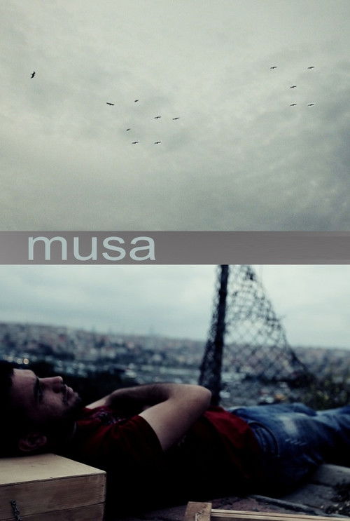 Musa Poster
