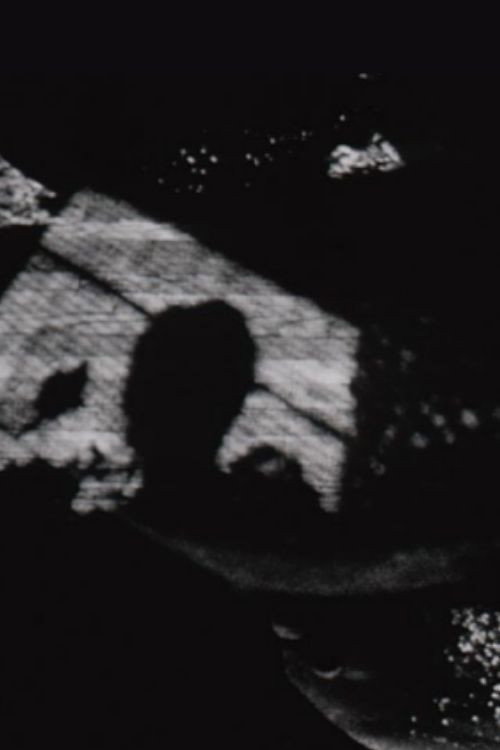 Life/Expectancy Poster