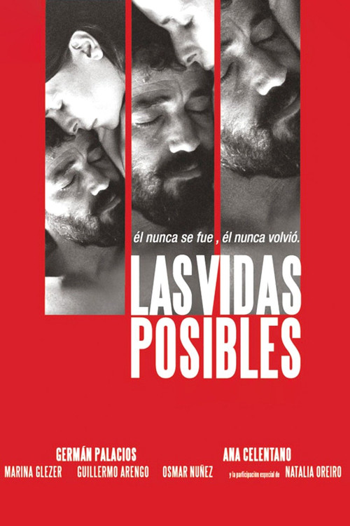 Possible Lives Poster
