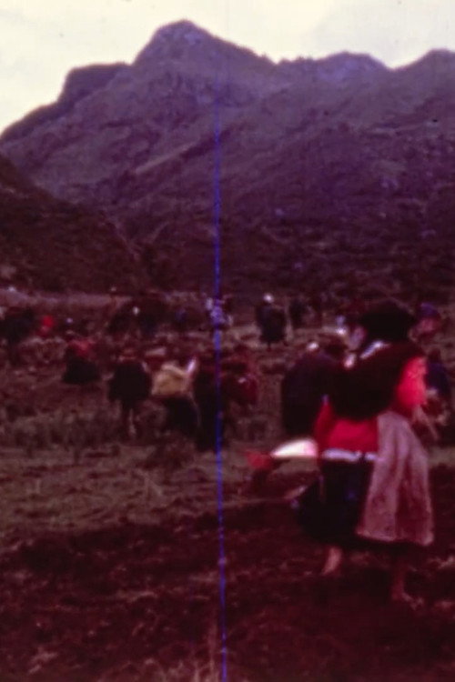 Wañuchun Cooperativa Poster