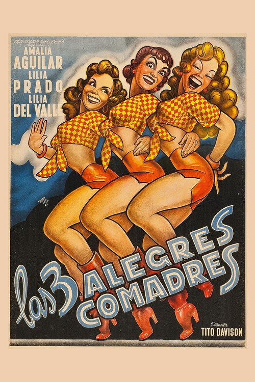 Las tres alegres comadres Poster