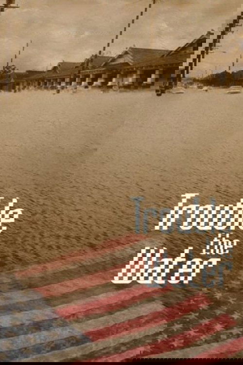 Trouble the Water Poster