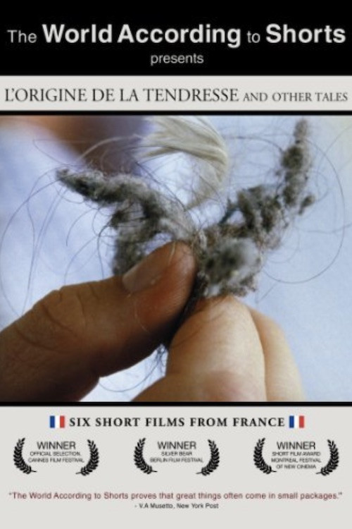 L'origine de la tendresse Poster
