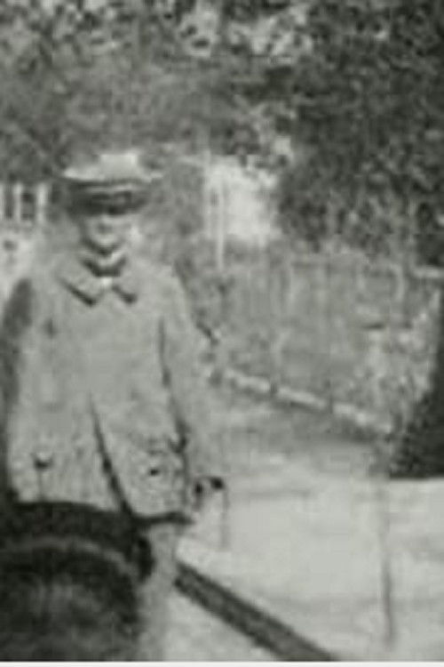 Panorama of the Moving Boardwalk Poster