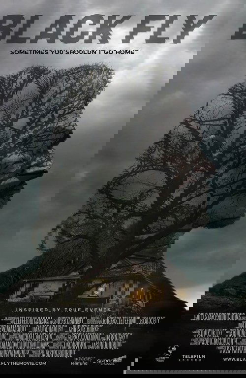 Black Fly Poster