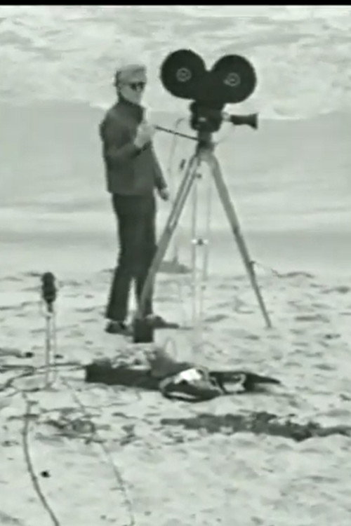 Andy Makes a Movie Poster