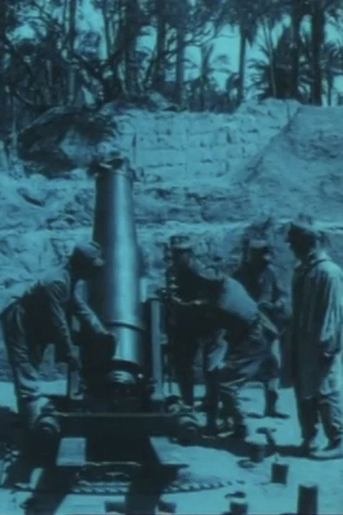 La nostra artigliera in guerra Poster