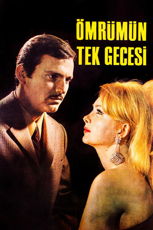 Ömrümün Tek Gecesi Poster