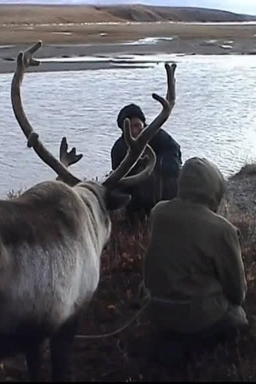 L'appel de la toundra Poster