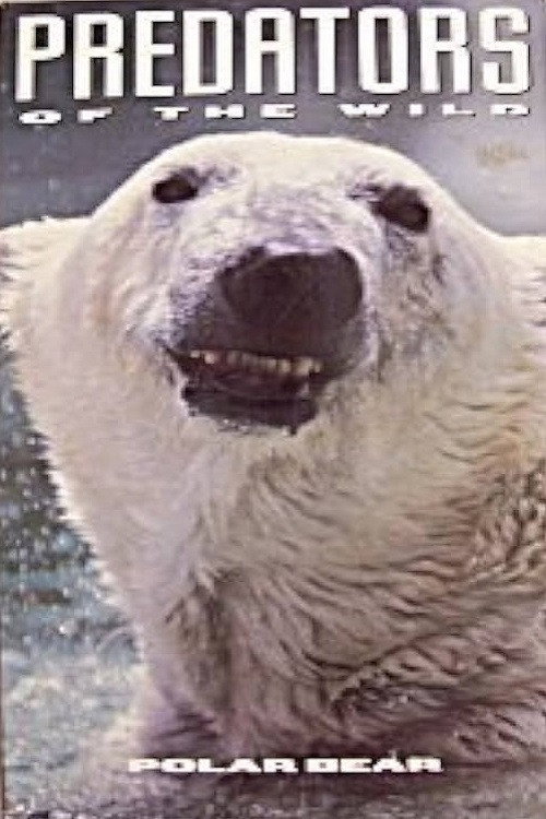 Predators of the Wild: Polar Bear Poster