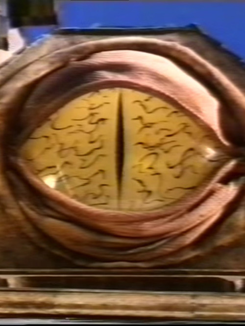 On the Record Poster