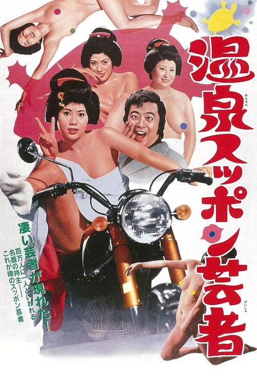 Turtle Geisha Poster