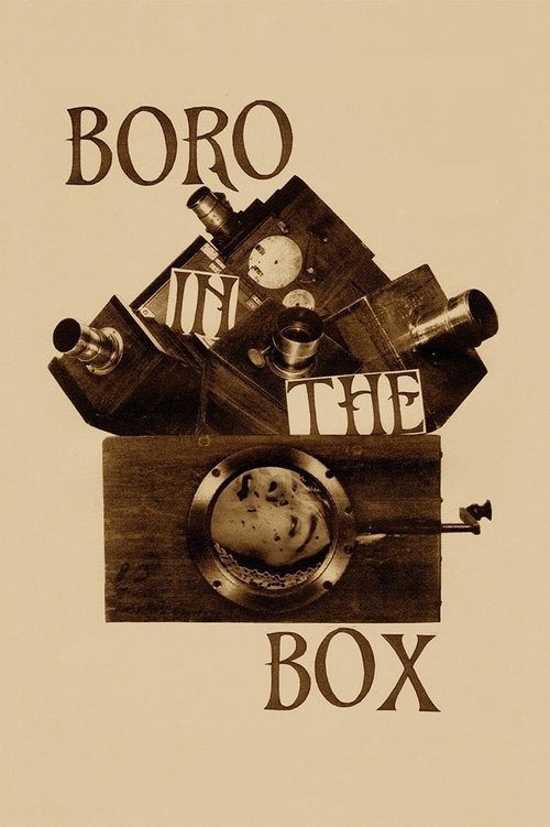 Boro in the Box Poster