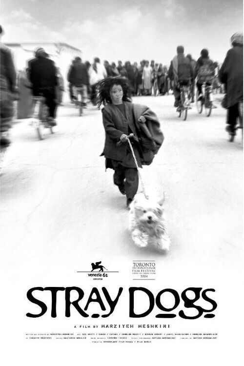 Stray Dogs Poster