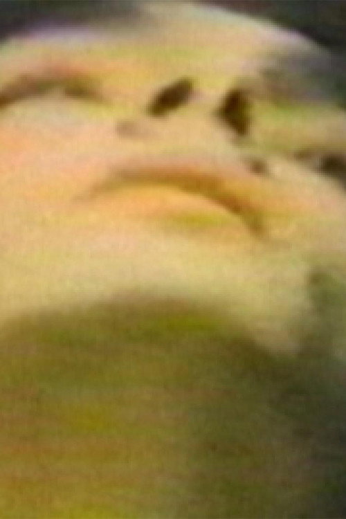 The Hundred Videos #1 Poster