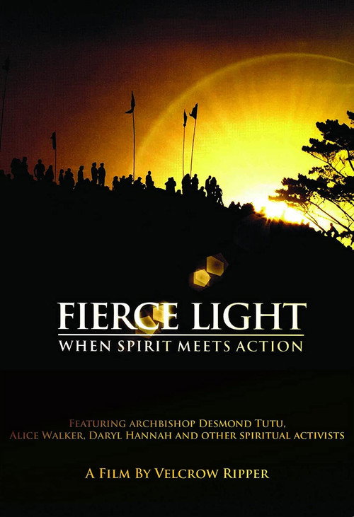 Fierce Light: When Spirit Meets Action Poster