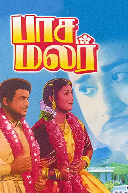 Pasamalar Poster