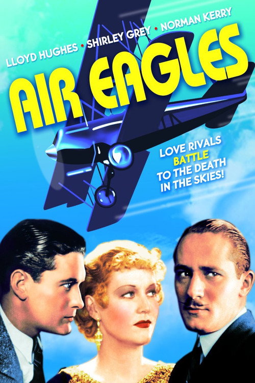 Air Eagles Poster