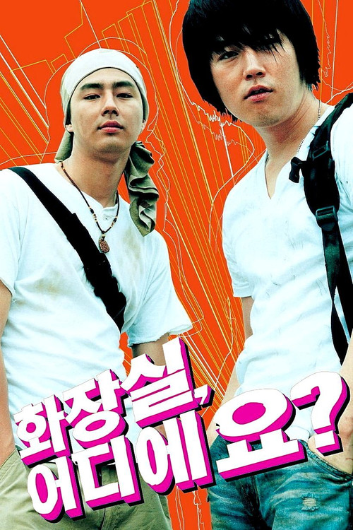 Public Toilet Poster