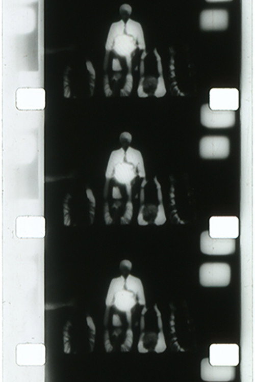 Are There Fairies Dancing on the Lawn? ...And if There Are Can I Catch Them in a Net? Poster