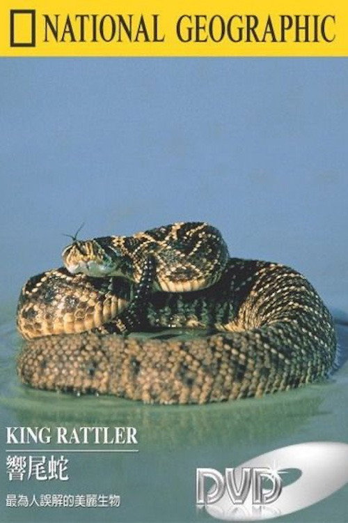 King Rattler Poster