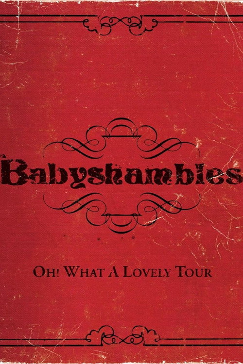 Oh! What a Lovely Tour - Babyshambles Live Poster