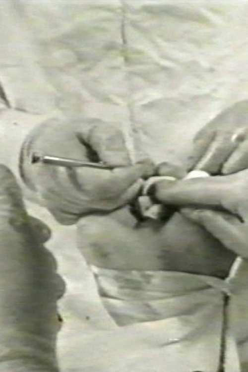 Evil and Pop Culture (Plagium 10) Poster