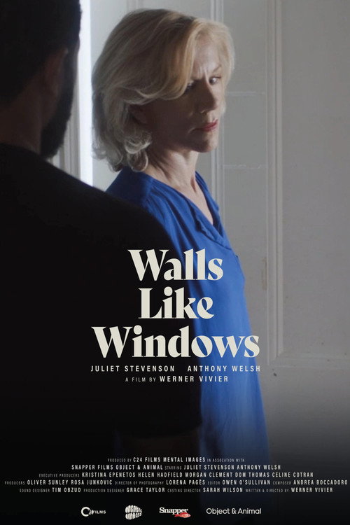 Walls Like Windows Poster
