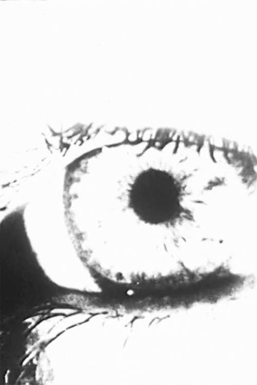 Metro Means of Conveyance Poster