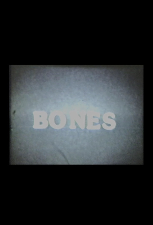 Blood Bones and Spirits Poster