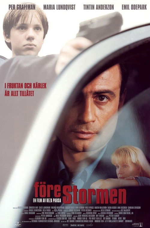 Before the Storm Poster