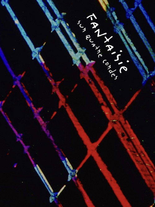 Fantaisie sur quatre cordes Poster