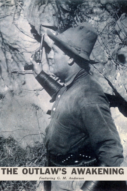 The Outlaw's Awakening Poster