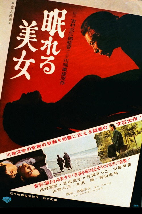 The House of the Sleeping Virgins Poster