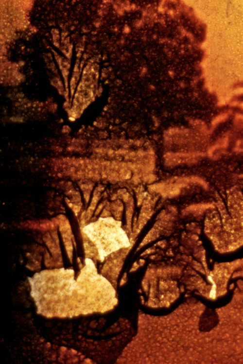 Stuttgart Filmwinter Poster