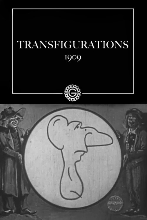 Transfigurations Poster