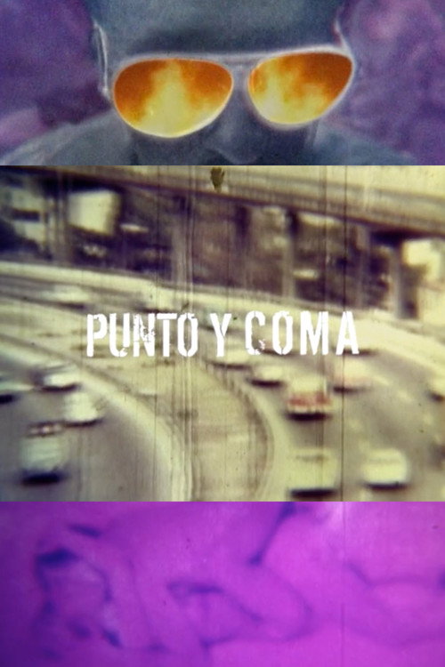 Punto y coma Poster