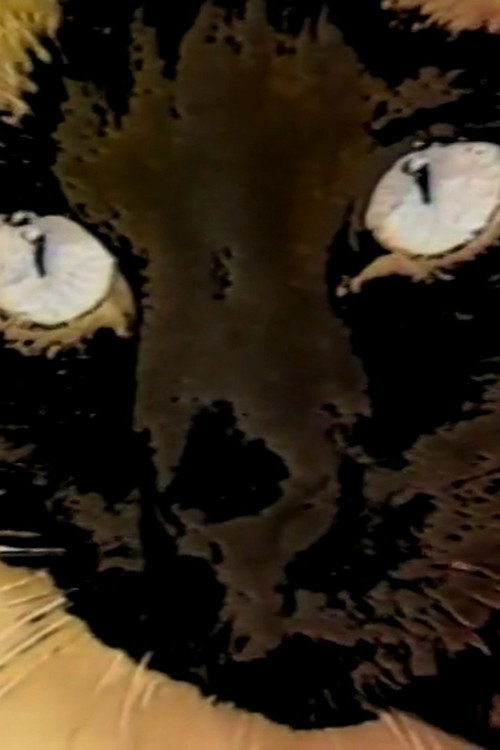 Duo des Chats Poster