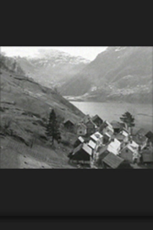 Havråfilmen Poster