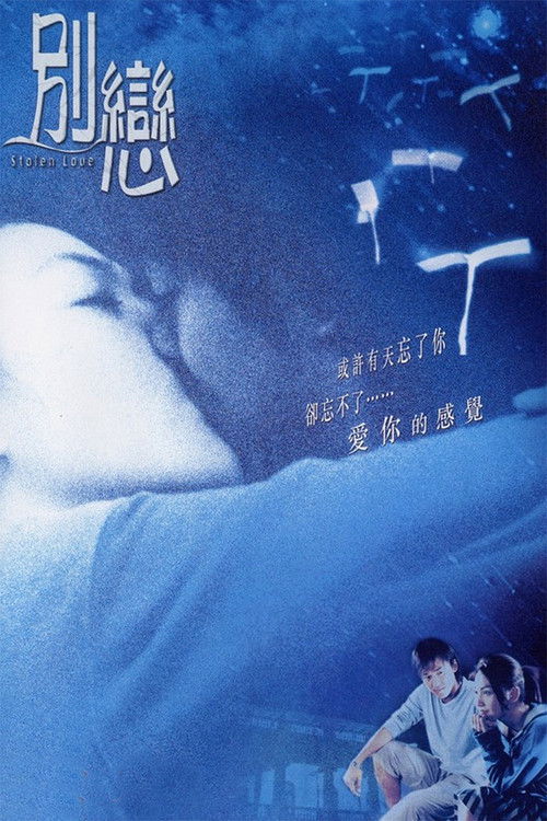 Stolen Love Poster