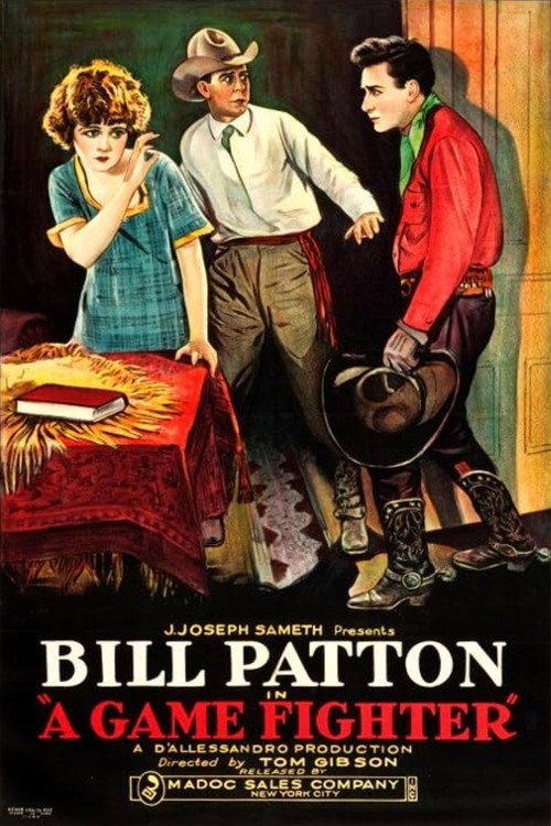 A Game Fighter Poster