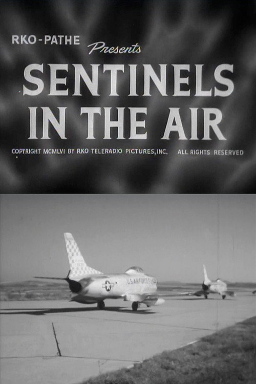 Sentinels in the Air Poster