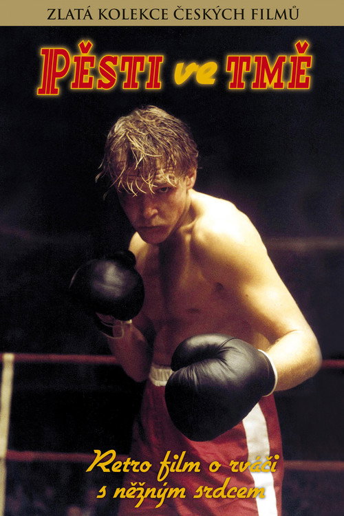 Pěsti ve tmě Poster