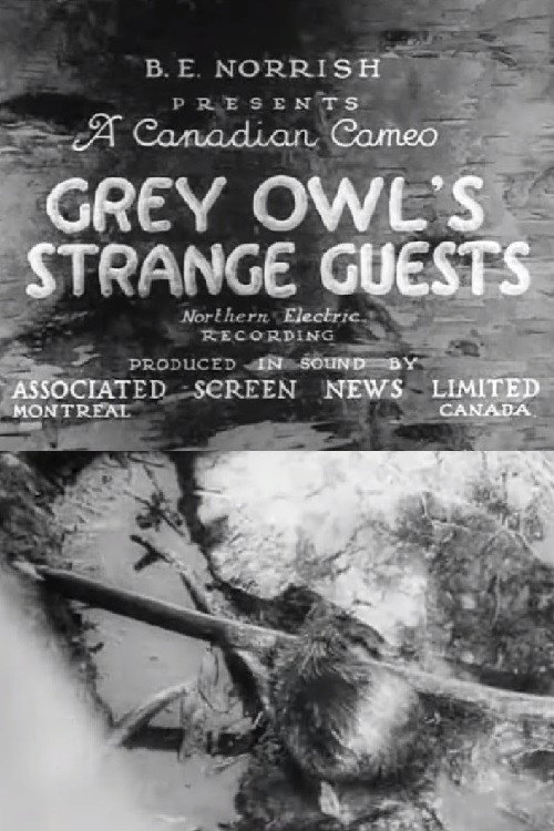 Grey Owl's Strange Guests Poster